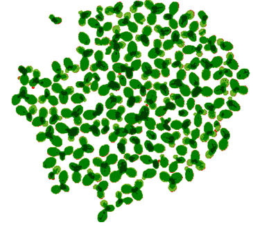 Saatgut-Testing