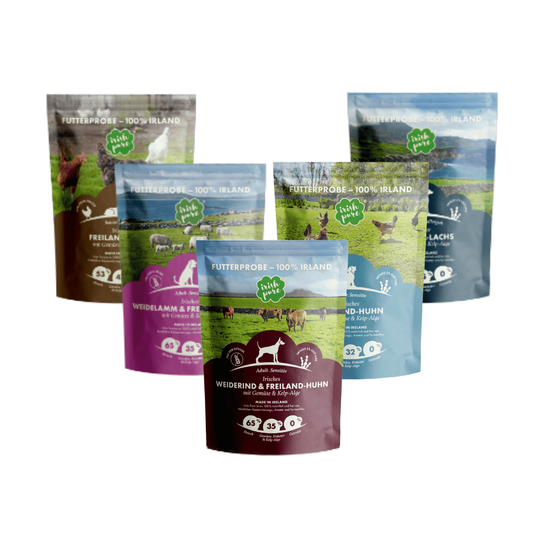 Probierpaket 5 Sorten