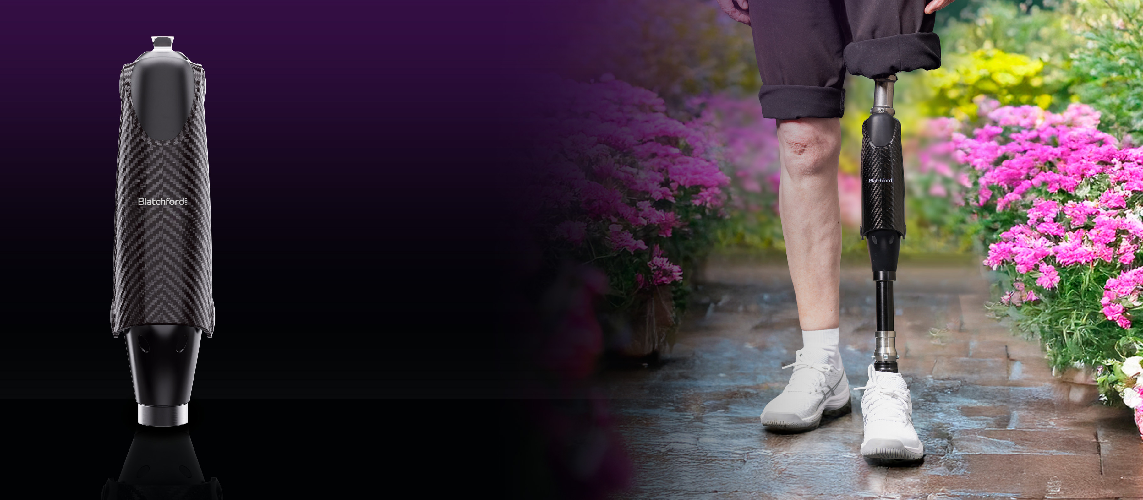 Avior Website-Banner