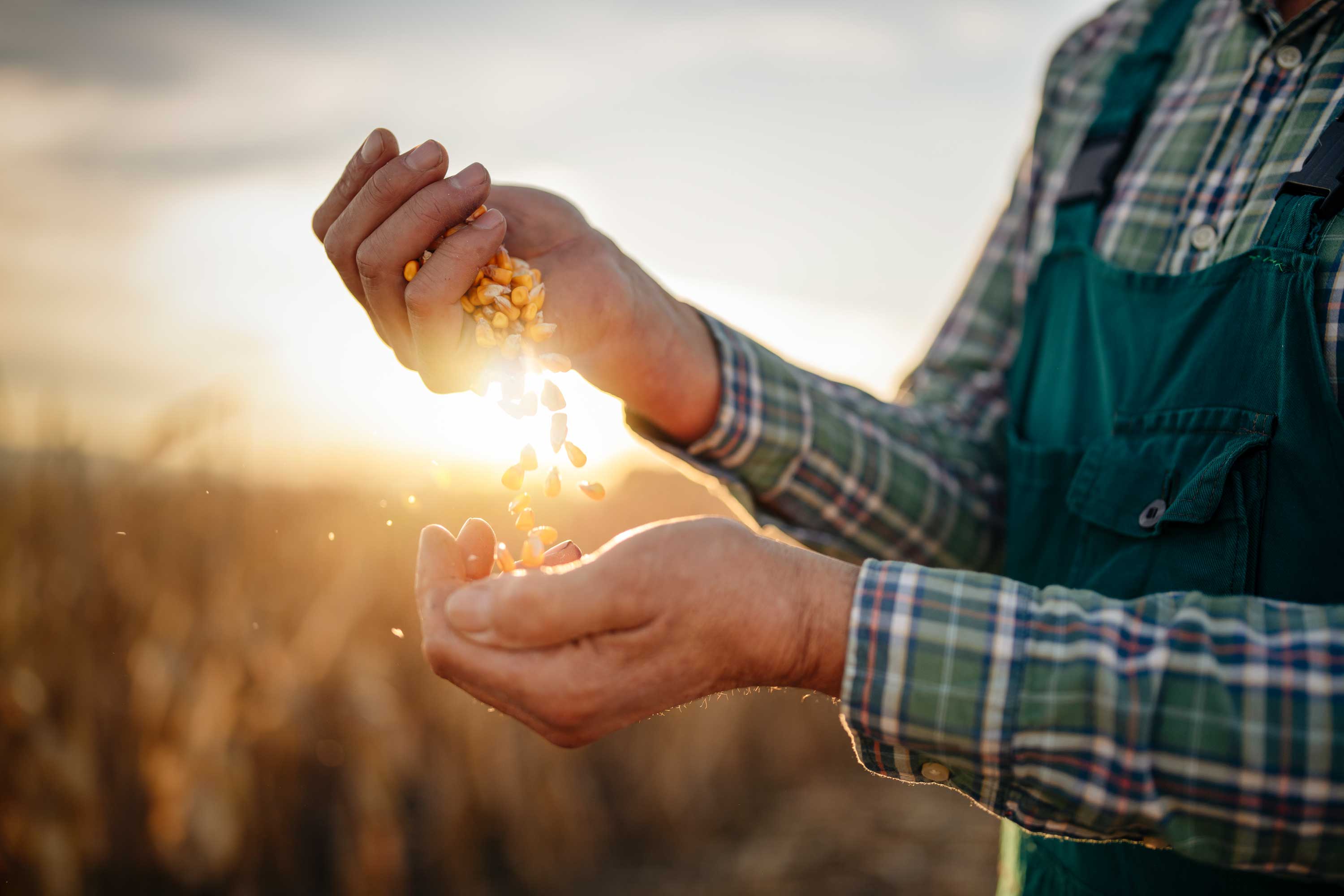 Feuchtemessung in der Landwirtschaft