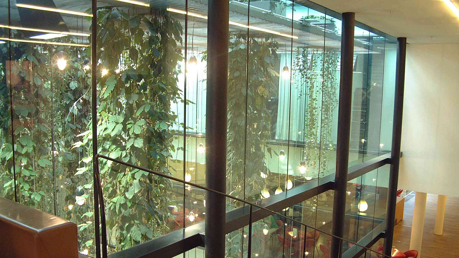 Brandschutzglas-Glasfront