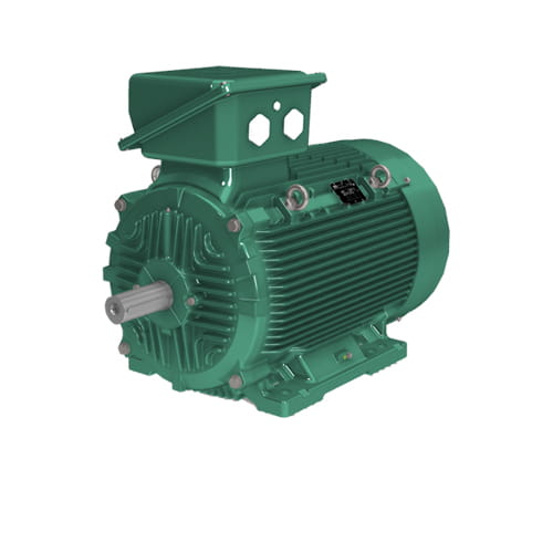 IMfinity CILS Gusseisen-IE4-Motor