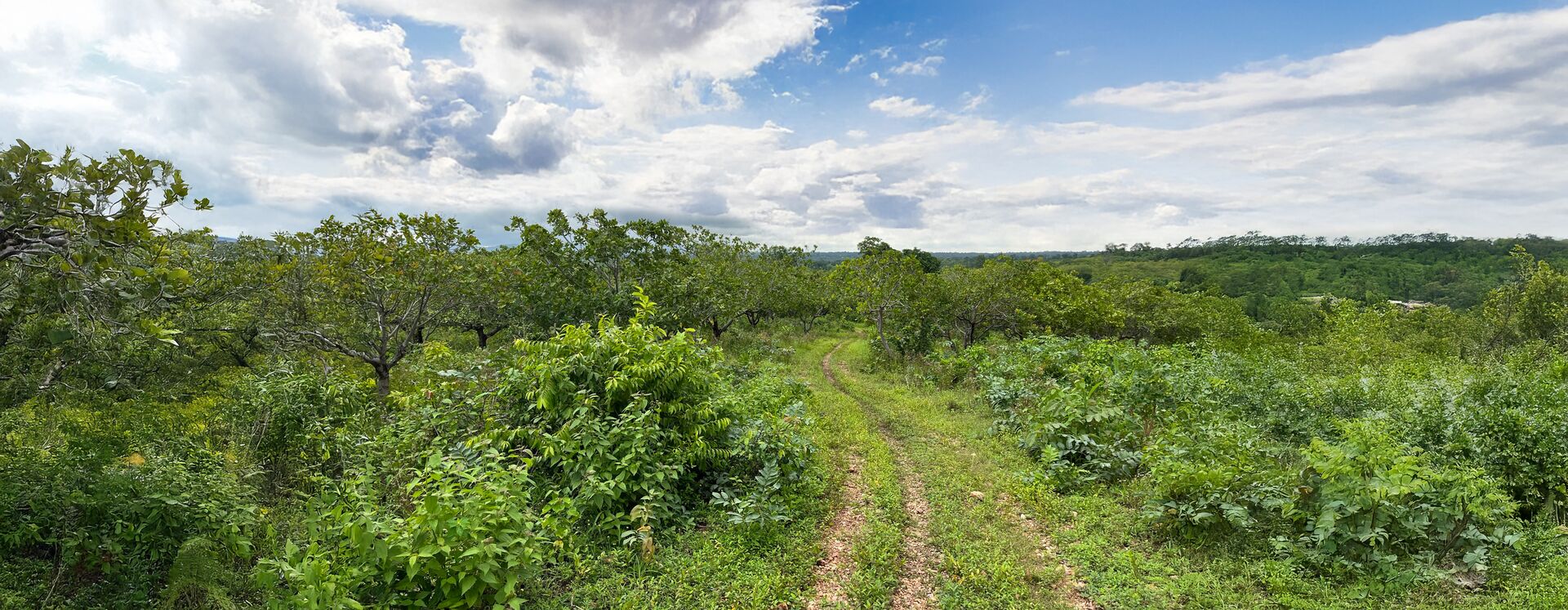 Für ökologische Landwirtschaft