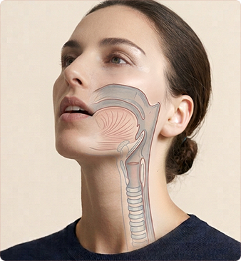 Airway-Konzept