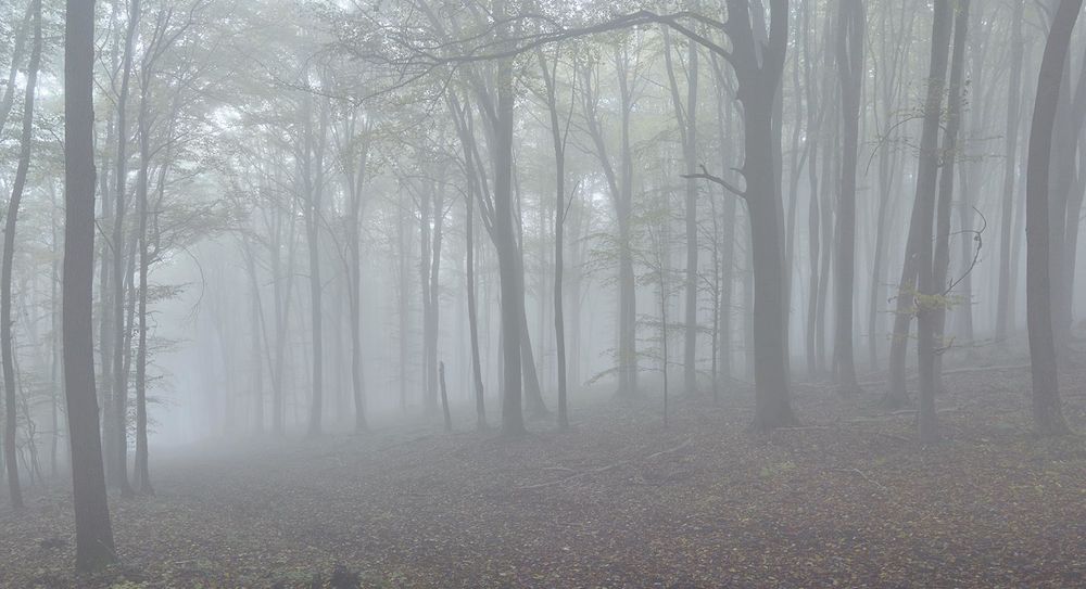 Holzverarbeitung — Aus Liebe zum Holz