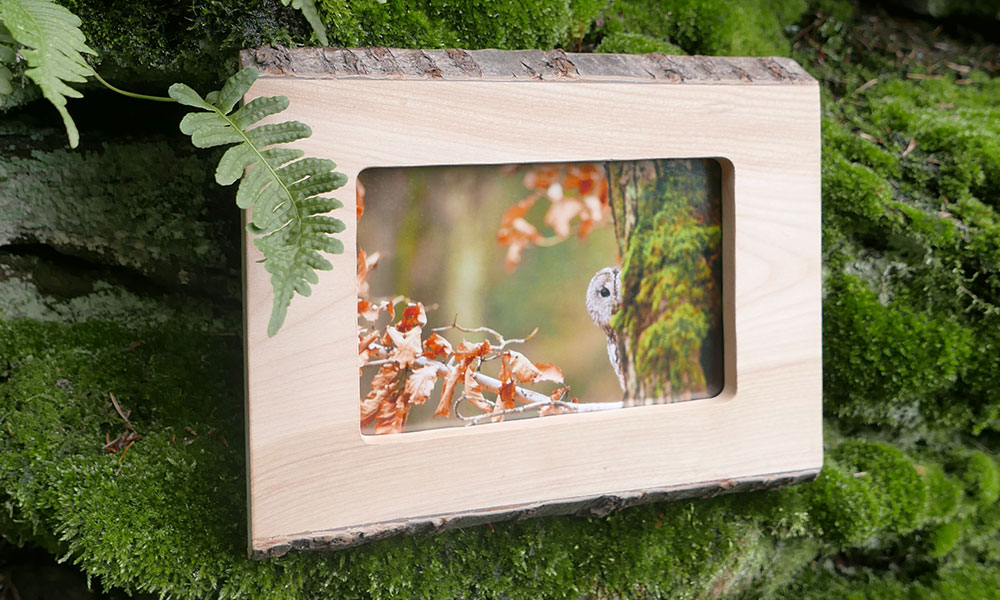 Bilderrahmen aus Holz mit Rinde an bemooster Felswand