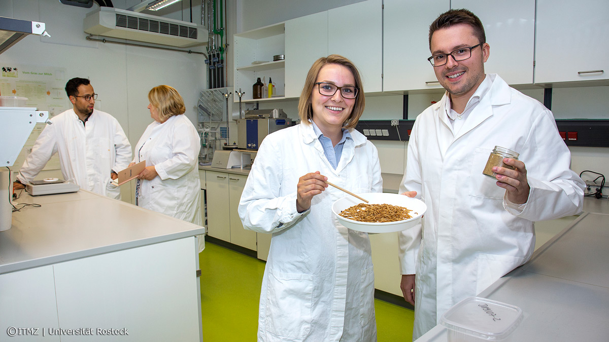 INOVA Protein – Teamhistorie