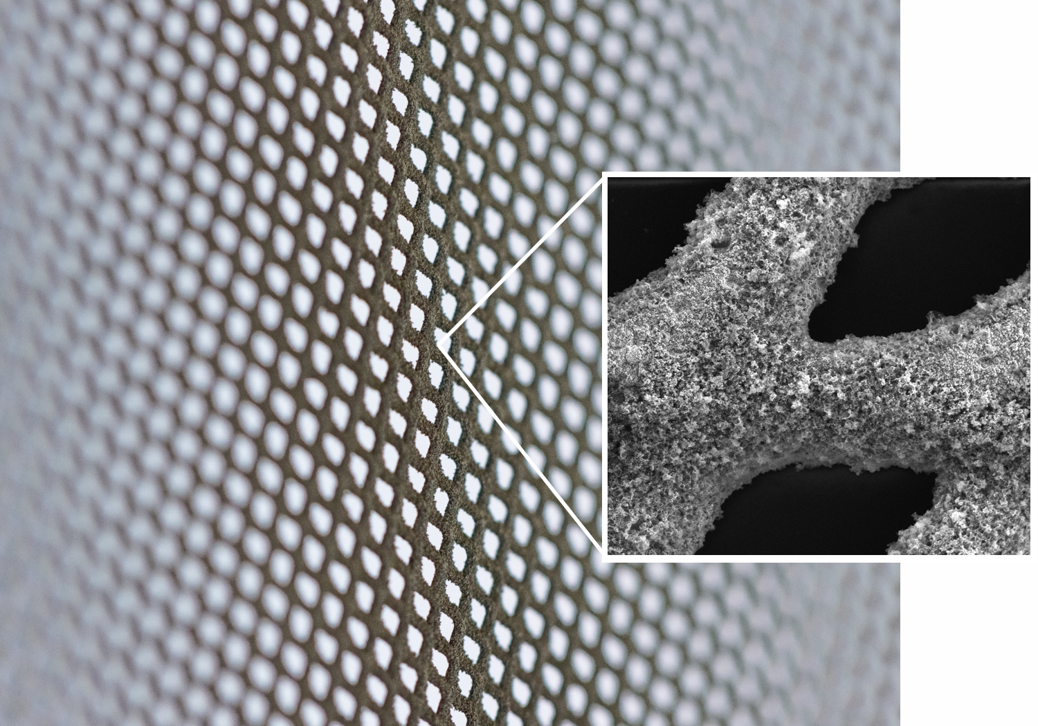 Catalyst coating (detail)