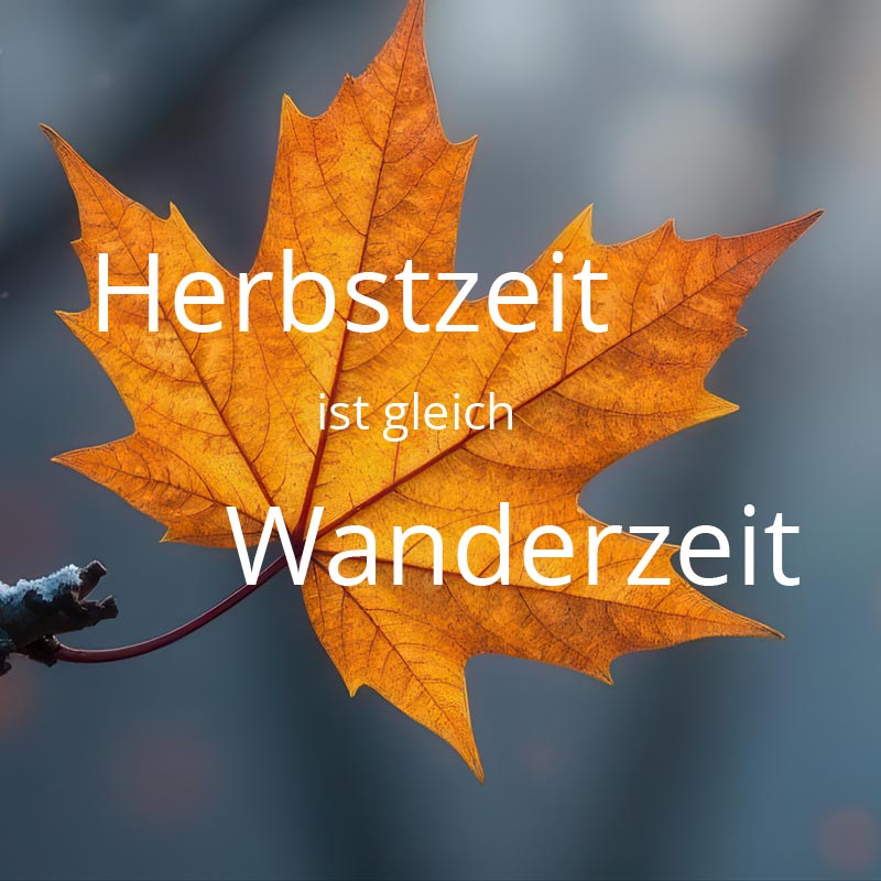 Herbstzeit = Wanderzeit – passendes Schuhwerk