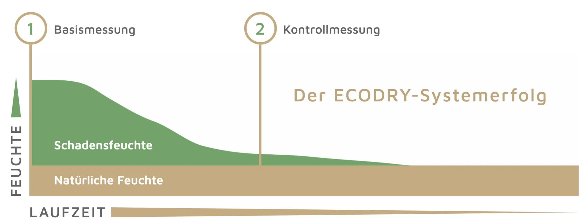 Basismessung und Kontrollmessung dokumentieren den Entfeuchtungsverlauf
