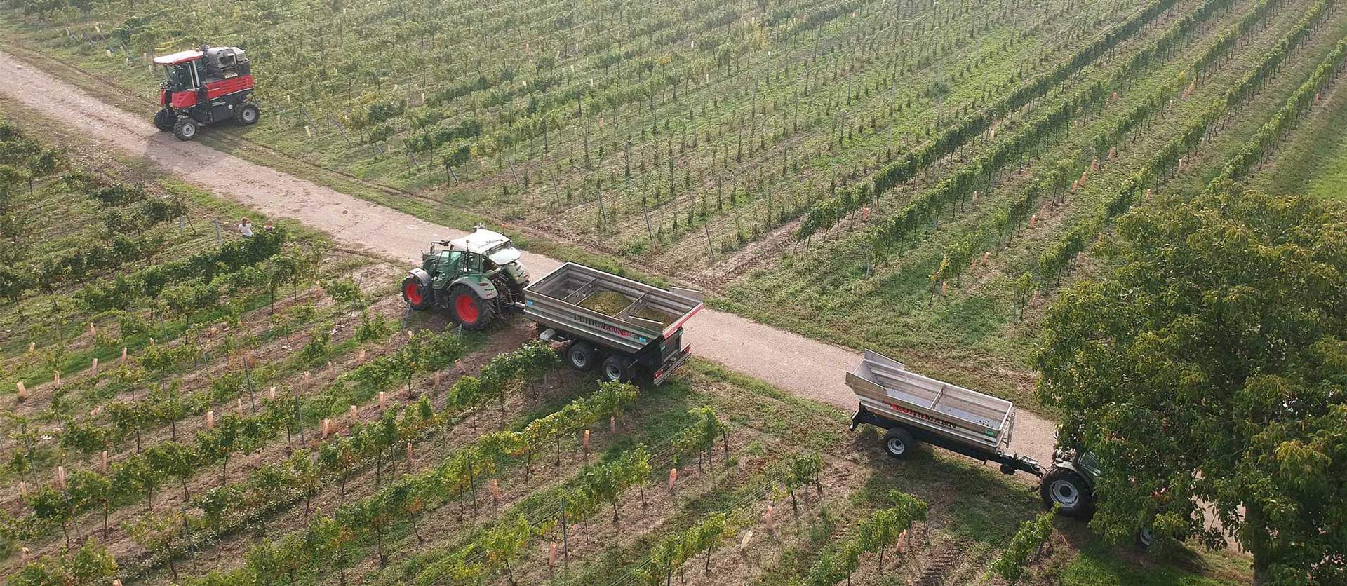 Lesewagen / Weinbaugerät