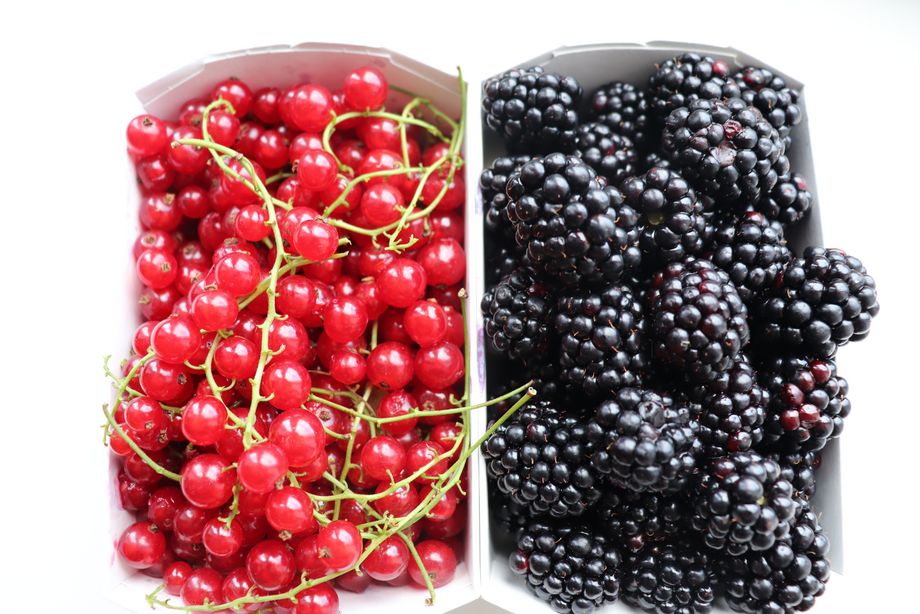 Himbeeren
