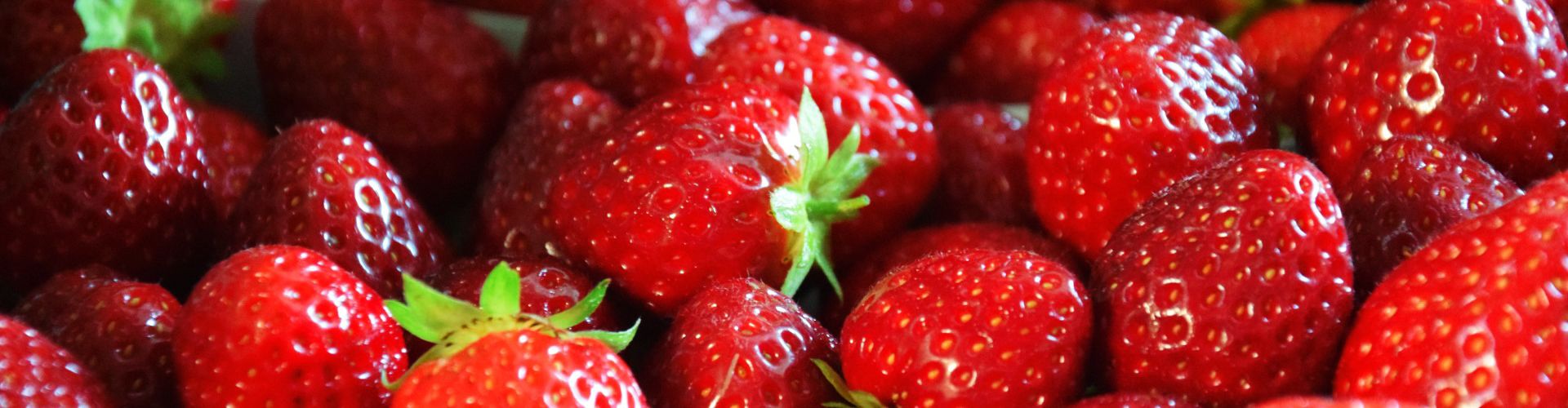 Erdbeeren (Schalenware)