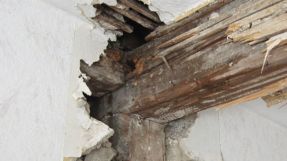 Gutachten
