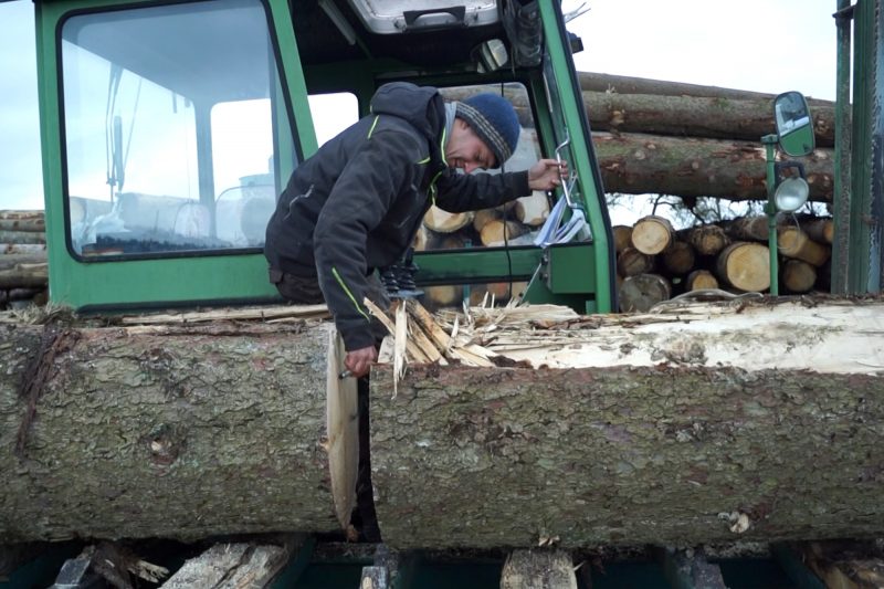 Rupert crane for round timber loading