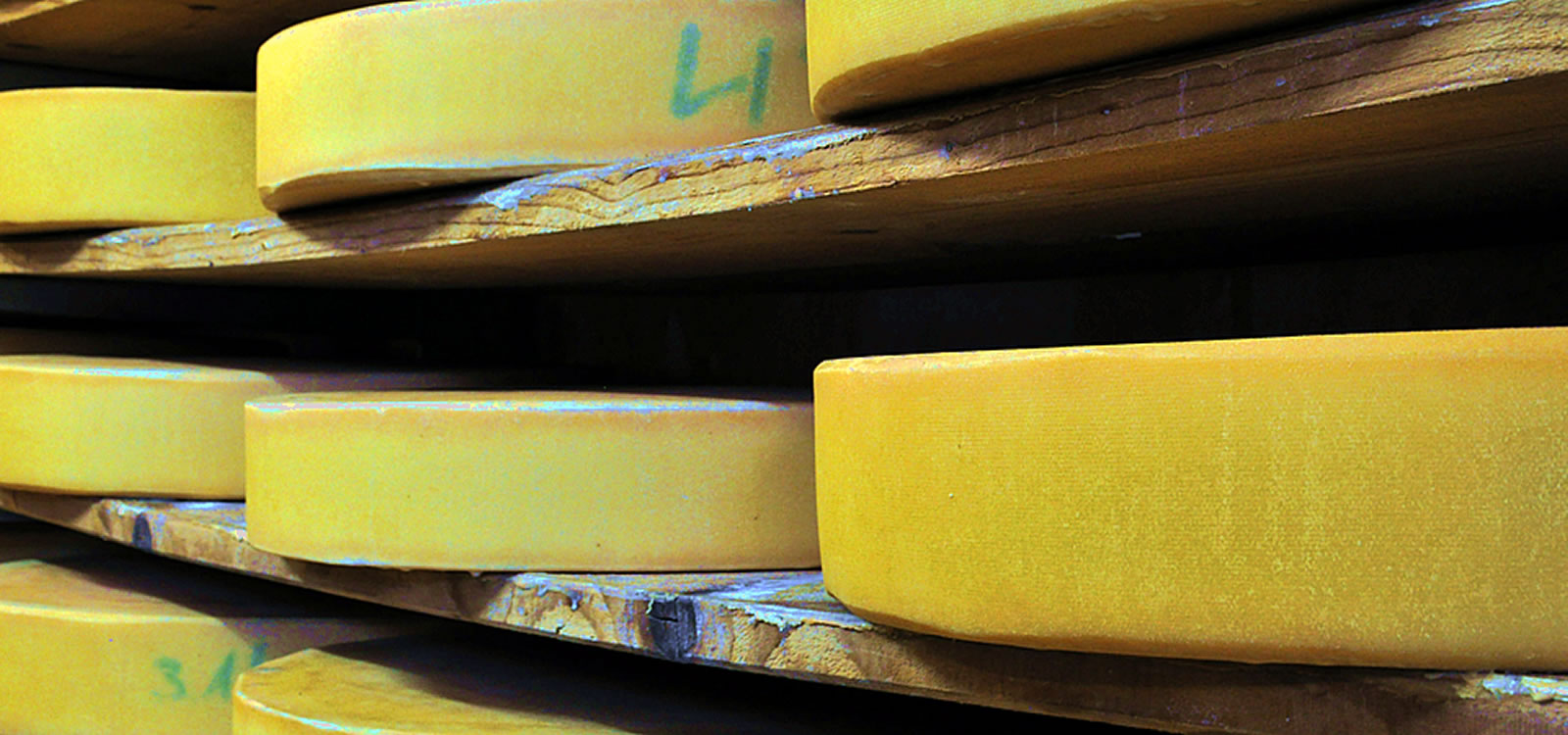 Käse aus der Bergkäserei Steibis