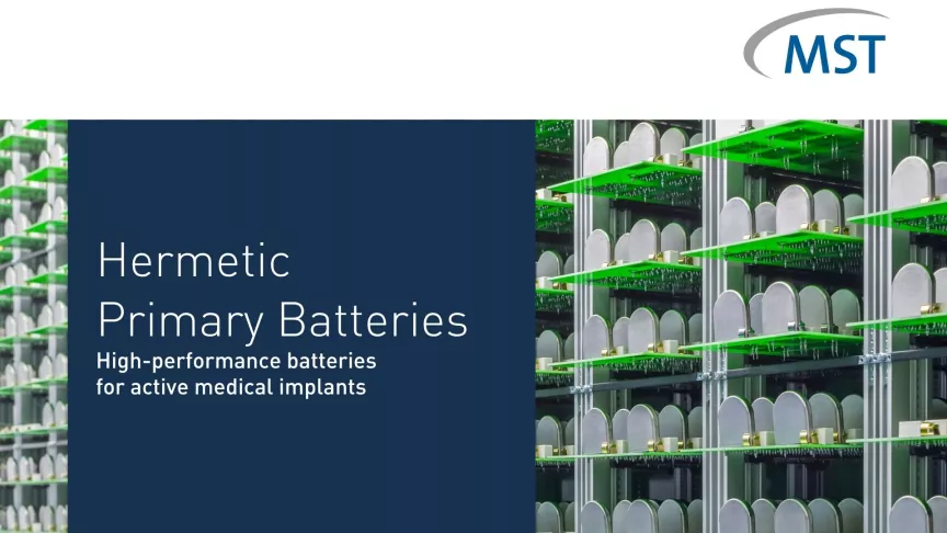 Technology Flyer Primary Battery Technologies