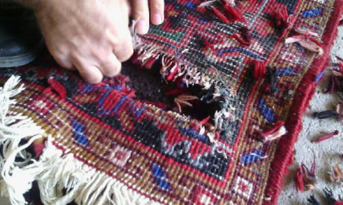 Teppichreparatur (Mottenfrass)