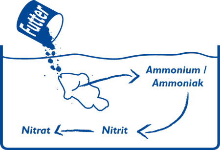 Mikrobiologische Produkte für den Stickstoffkreislauf