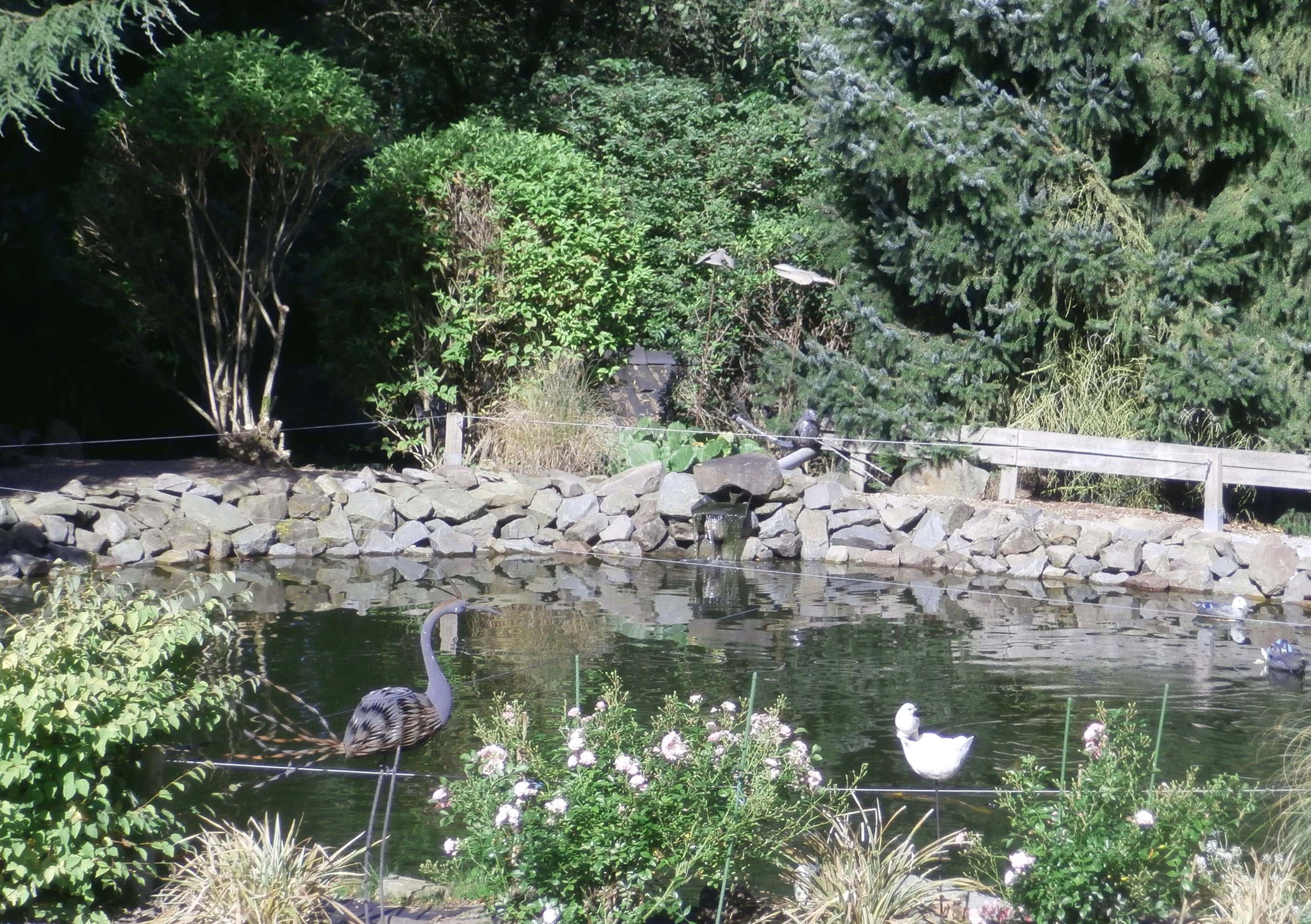 Gartenteich mit Söll-Teichpflege
