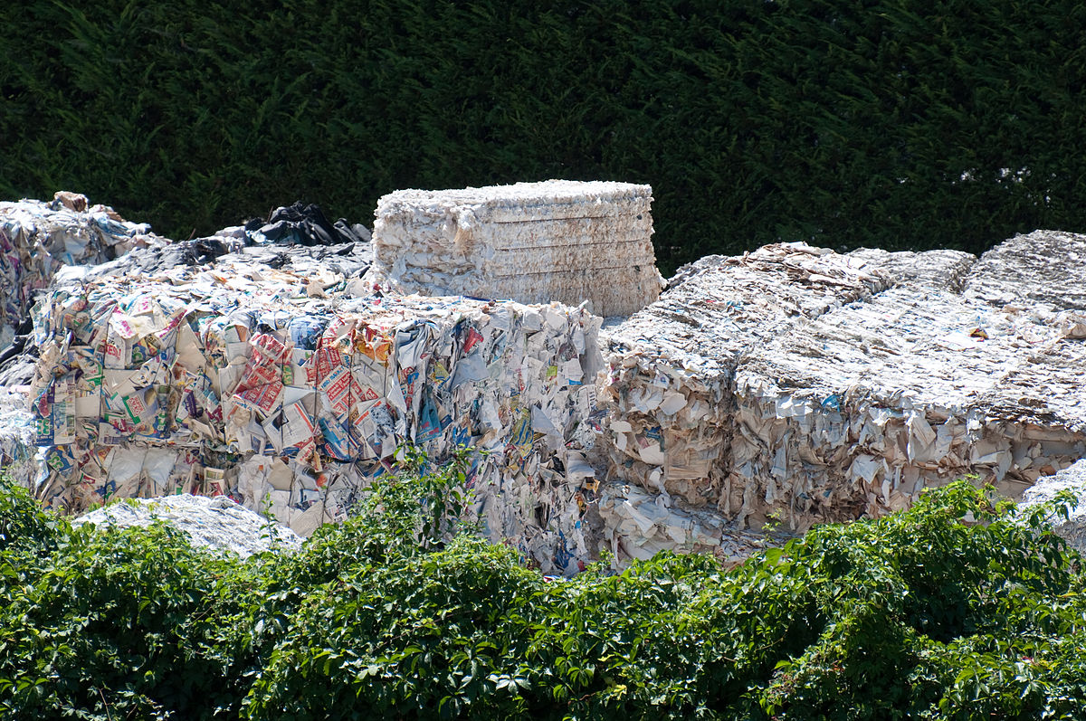 Papierrecycling