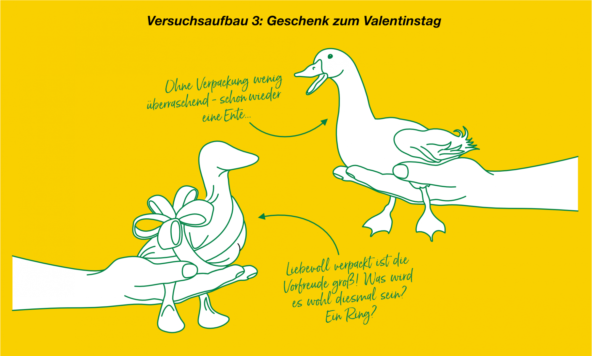 Experimente mit Verpackungen
