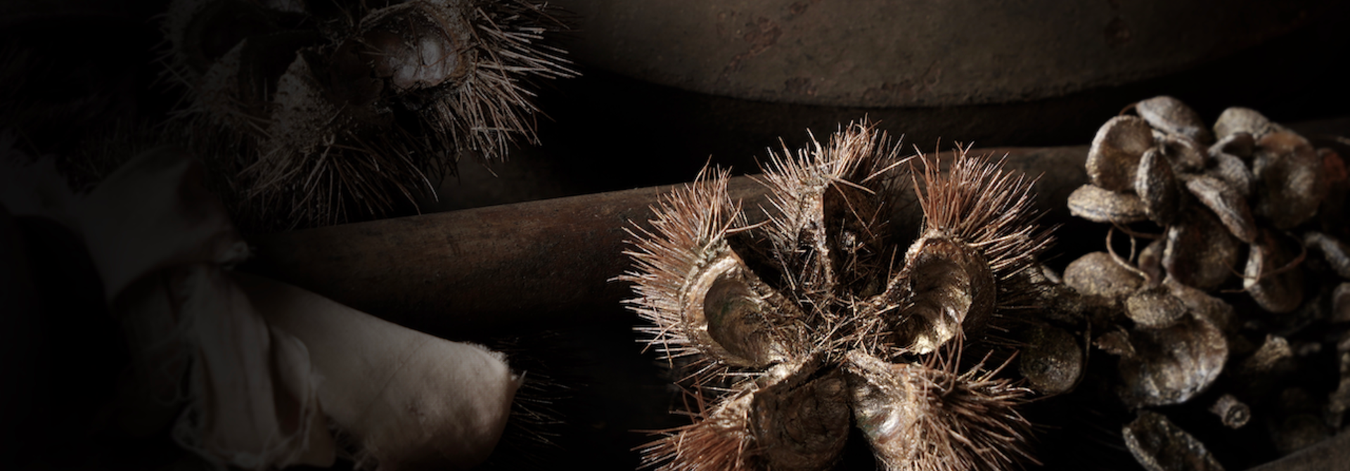 Decorative greenery & natural materials