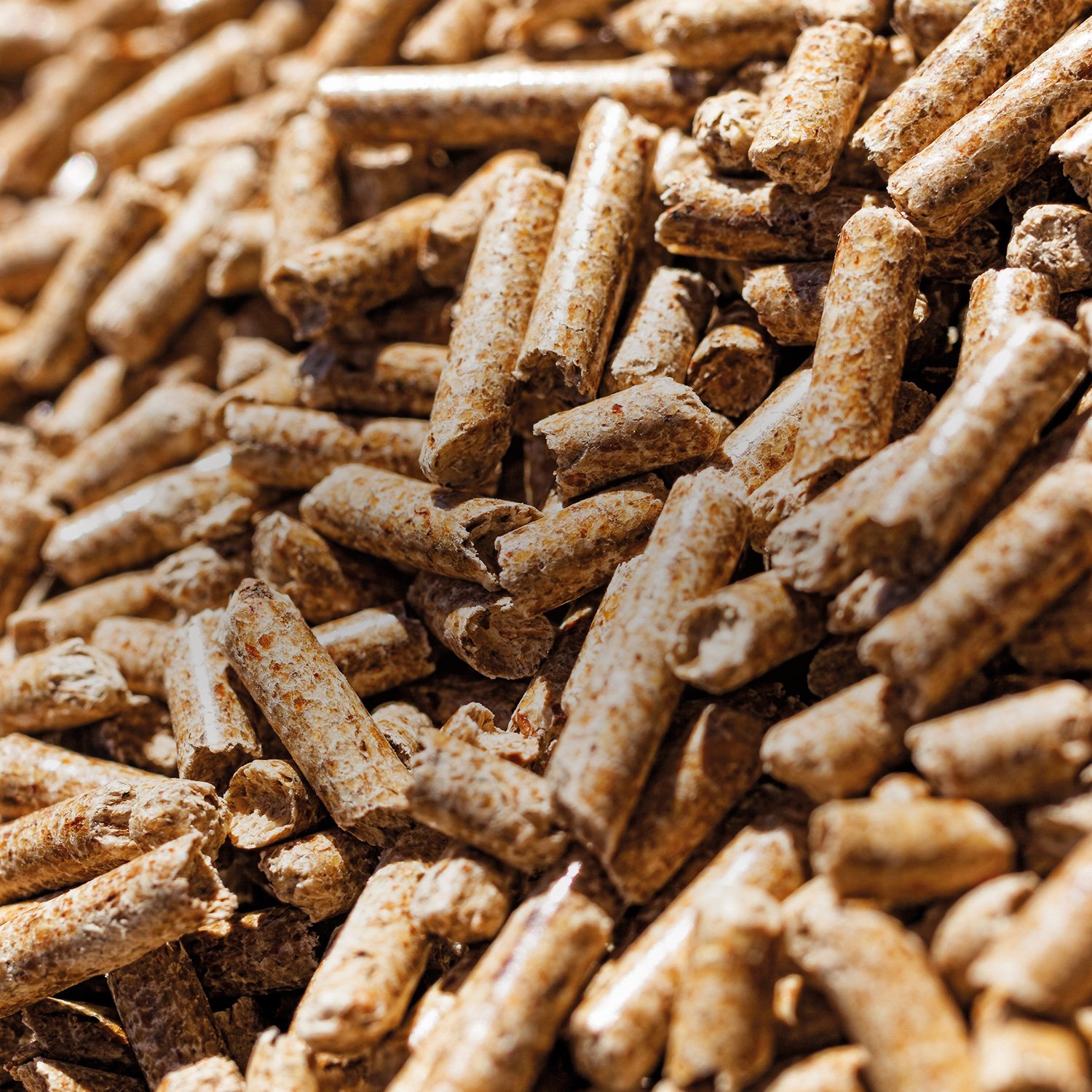 Holzpellets (ENplus A1)
