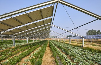 ZM Ecoprotect®-beschichtete Profile für Agri-PV-Montagesysteme
