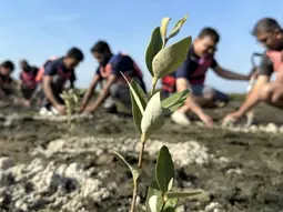 GMA's Roadmap to Sustainability