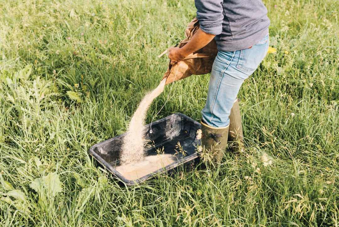 Futtermittel aus Nebenprodukten