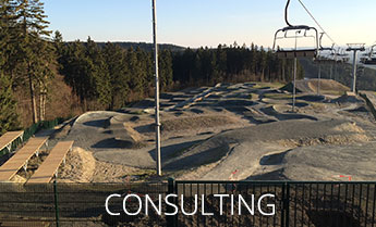 Consulting
