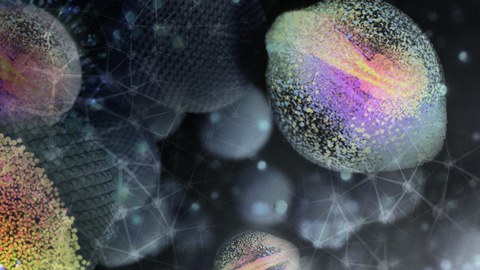 Exzellenzcluster Physics of Life (PoL)