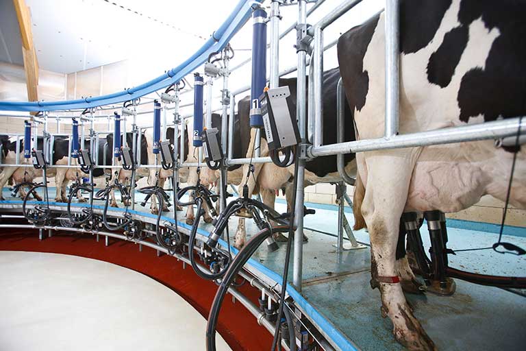 Melktechnik für Milchviehbetriebe