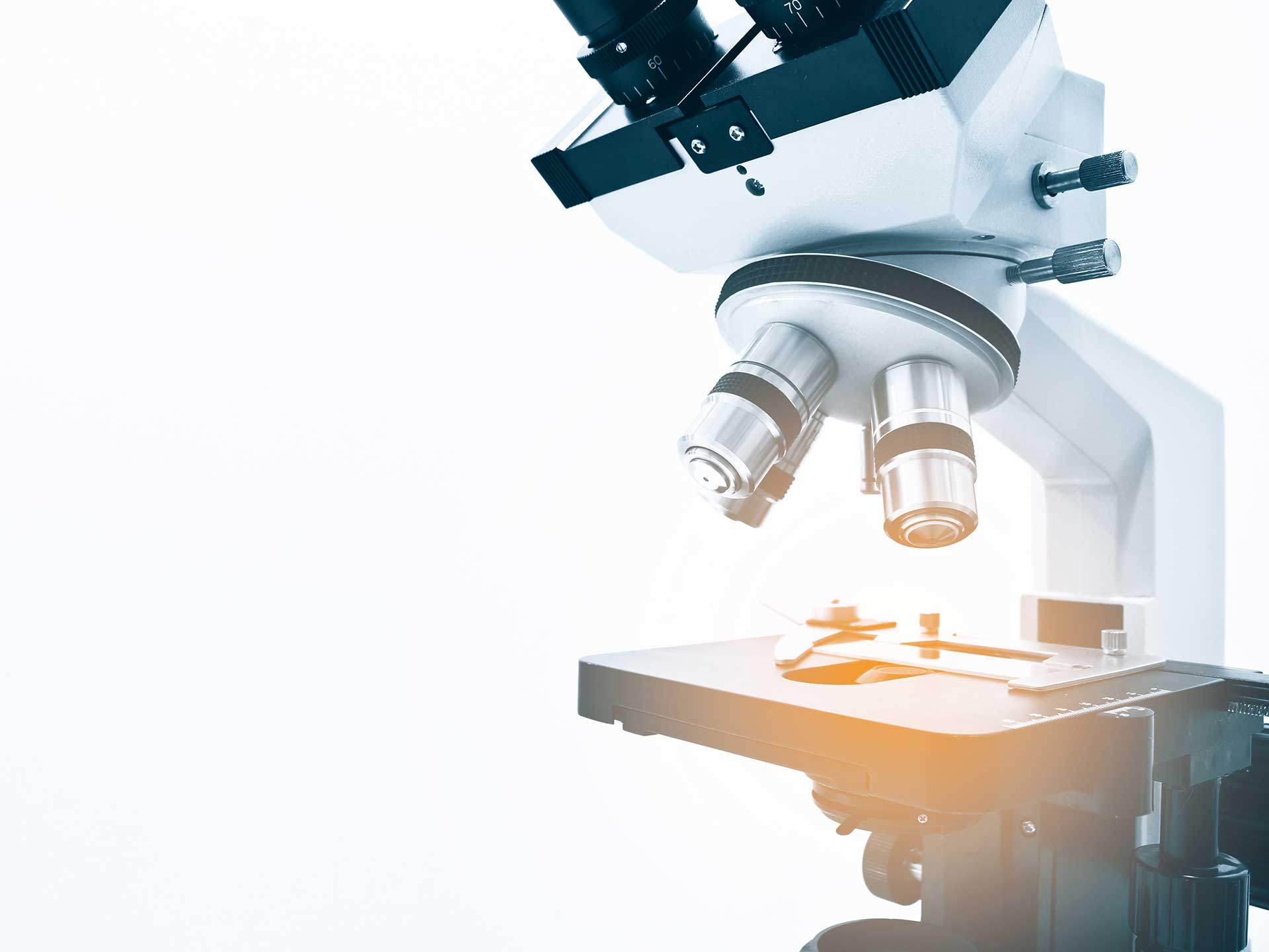 Lehrmittel für naturwissenschaftlichen Unterricht