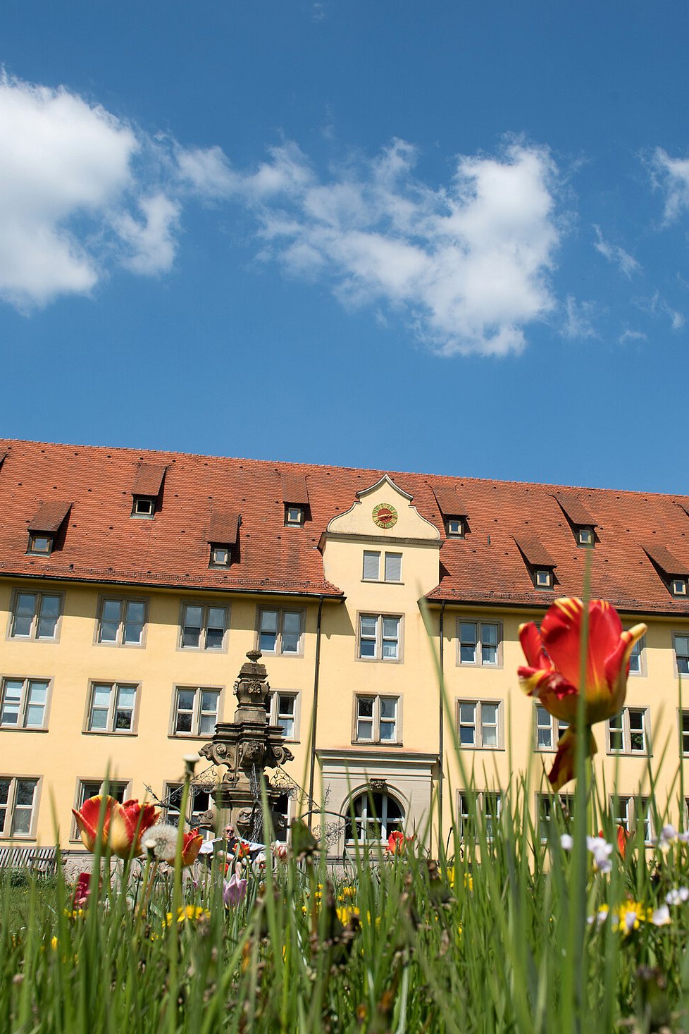 Klinisches Umfeld