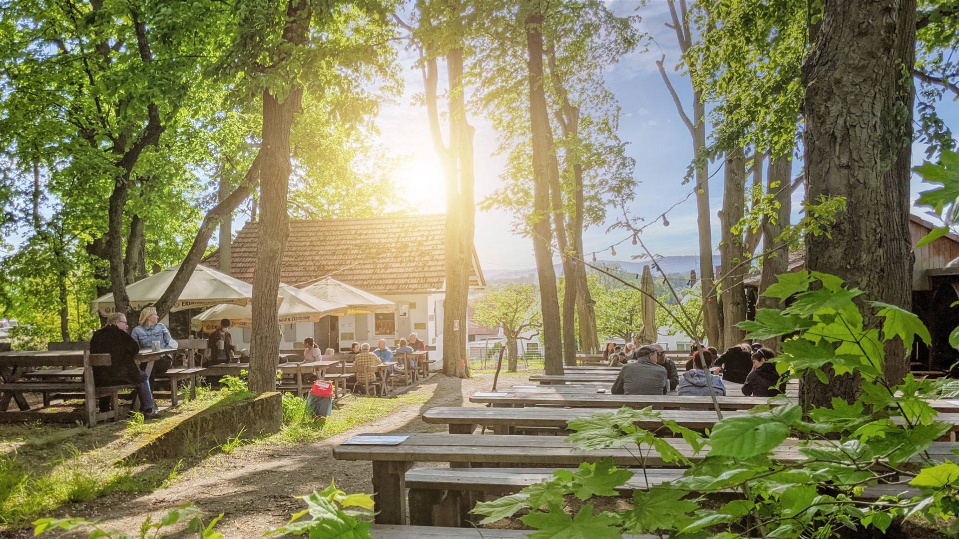 Höhnskeller – traditioneller fränkischer Bierkeller
