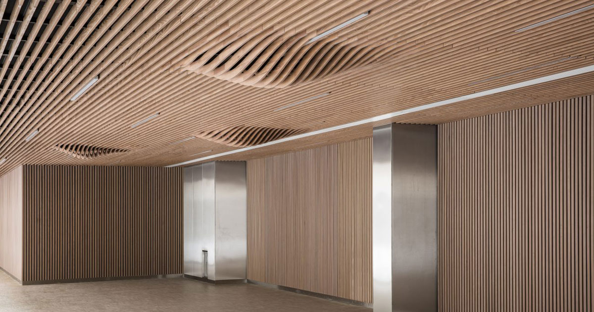 Akustikdecken und Wandverkleidungen aus Holz