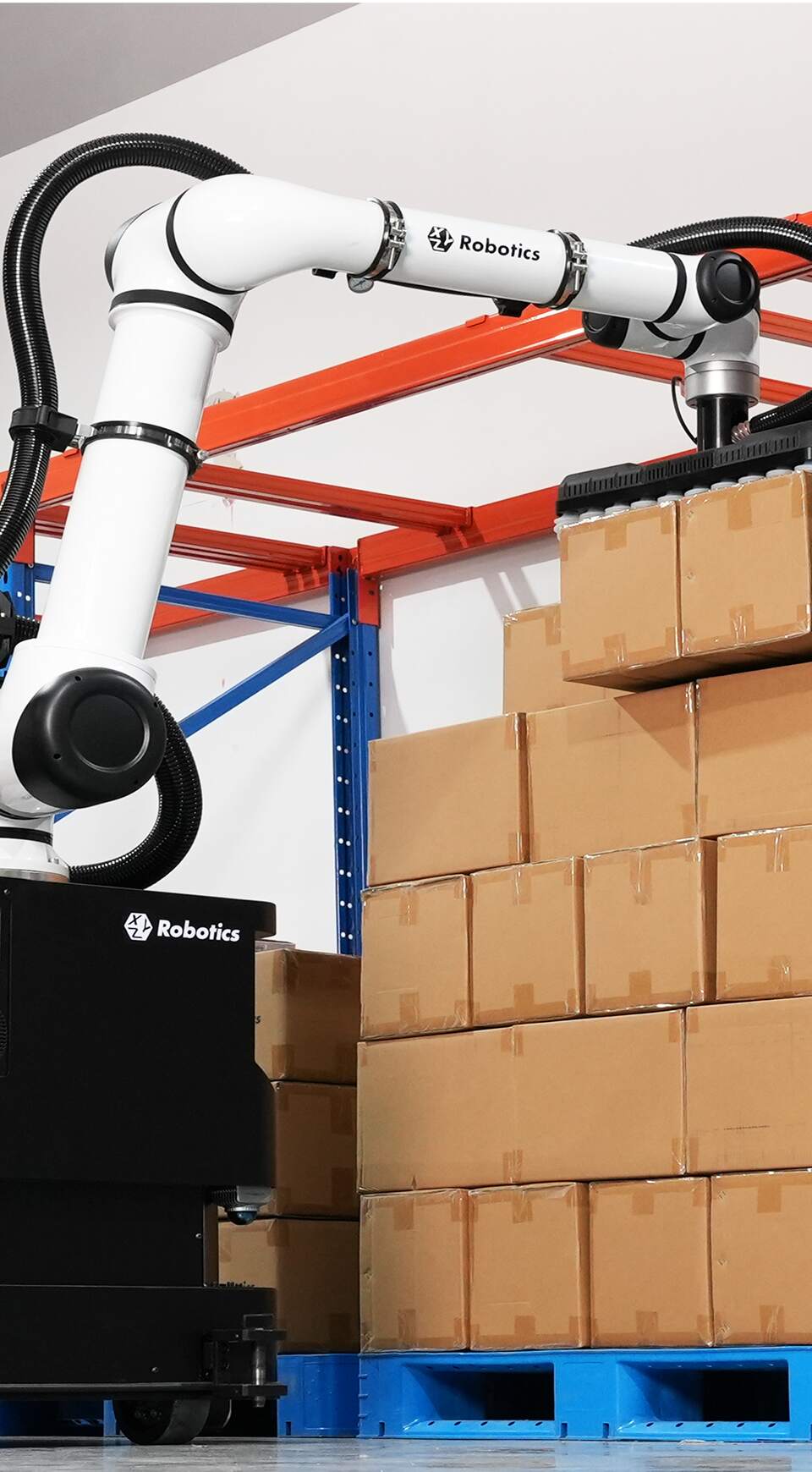 Case Picking mit RockyLight