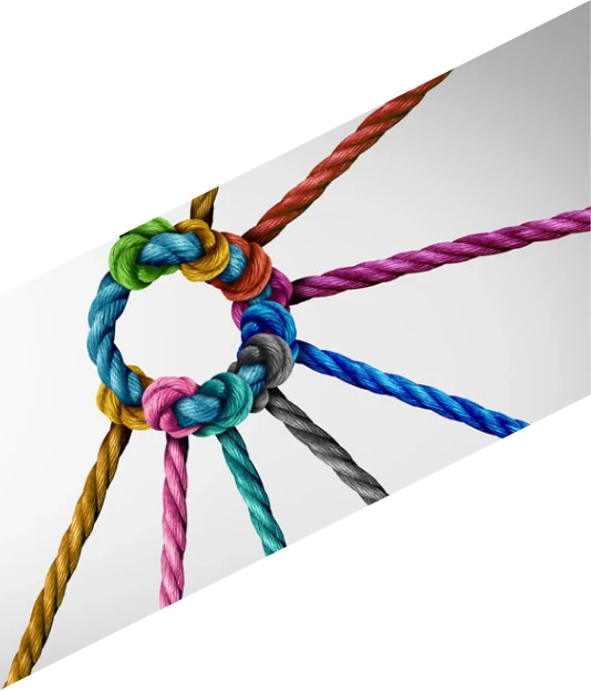 Partnerschaften von BioLogic