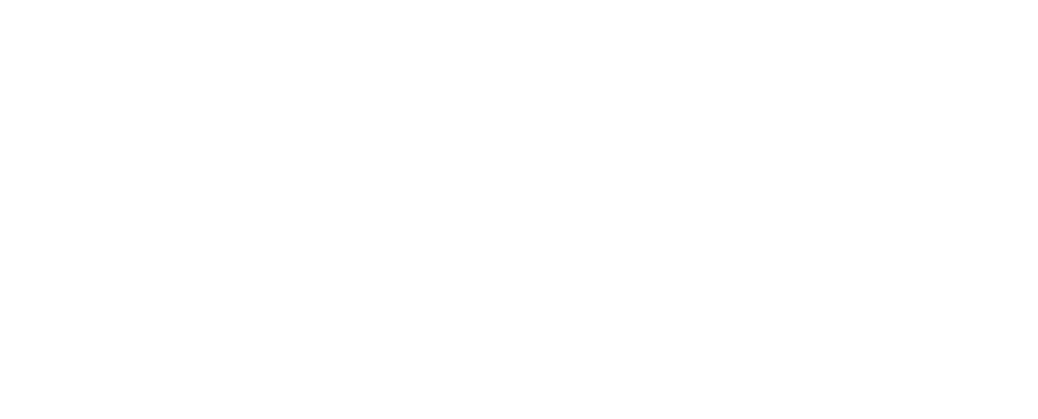 Logo FreyZein FlexCo