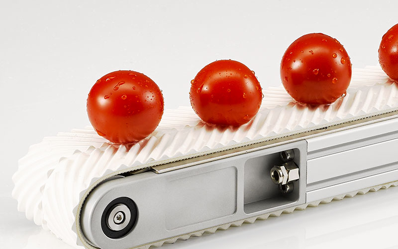 Kleinförderband mit FDA-Transportgurt für Waschanlage