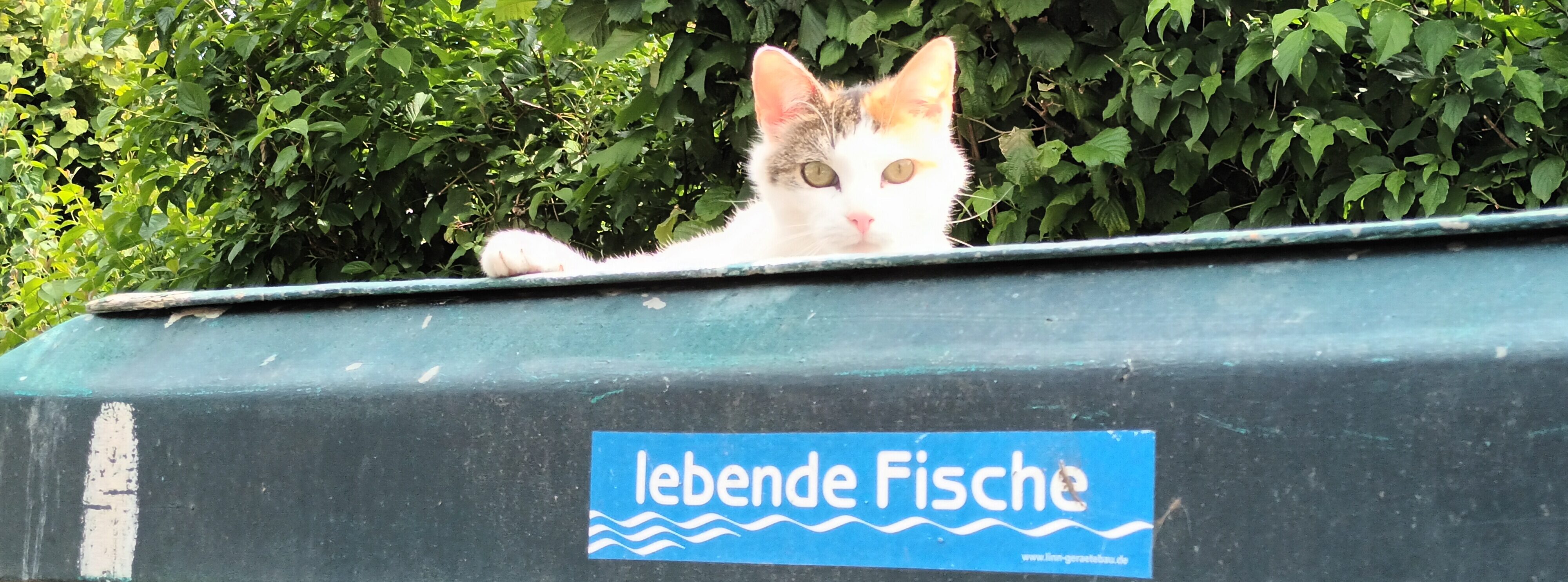 Betriebsansicht