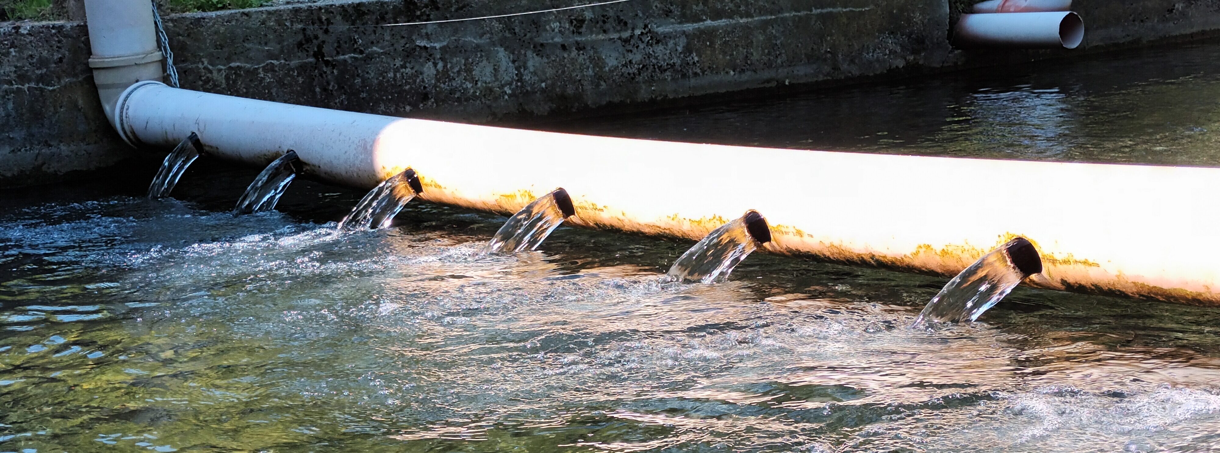 Quellwasserteiche des Betriebs