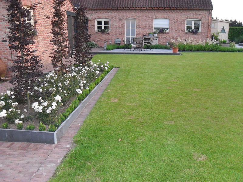 Gartenentwurf