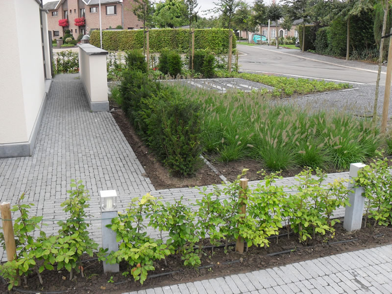 Gartenpflege