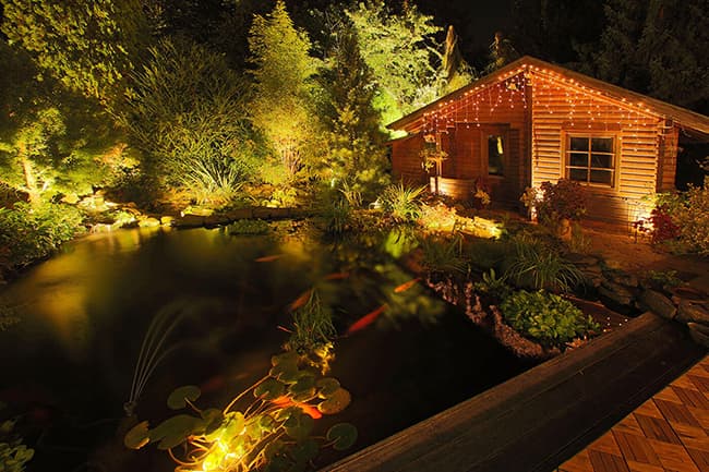 Professionelle Gartenbeleuchtung bei Nacht