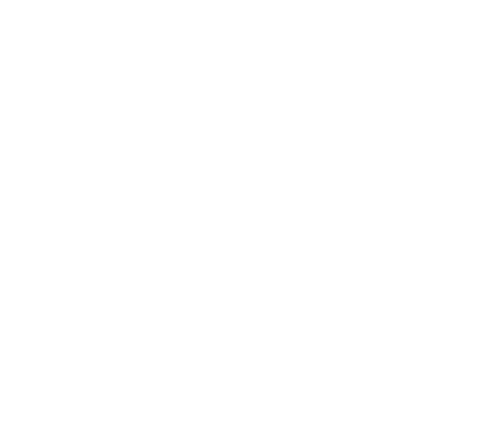 Barbara Erzbergbau Logo