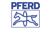 Feile / Oberflächenwerkzeug