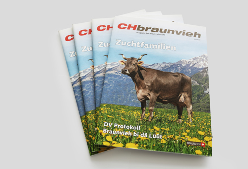 Magazin- und Zeitschriftendruck